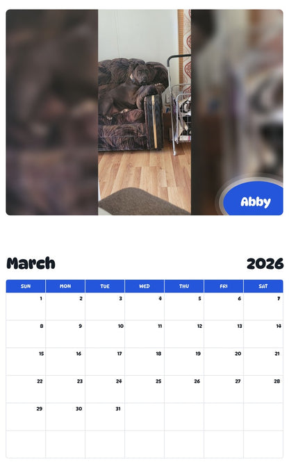 November 2025 - October 2026 Abby - Pawidols Pet Calendar
