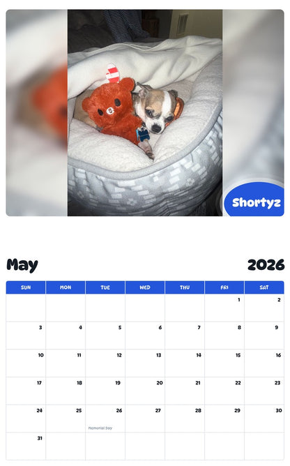 2026 - 2027 Shortyz - Pawidols Pet Calendar