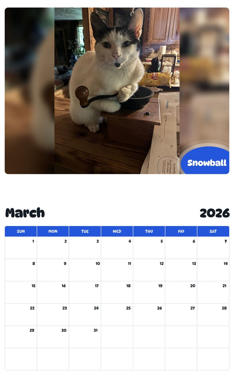 November 2025 - October 2026 Snowball - Pawidols Pet Calendar