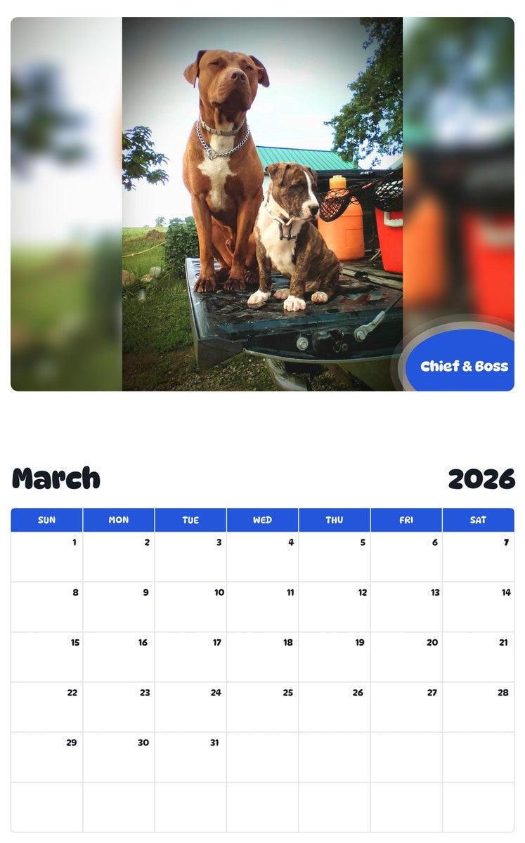 November 2025 - October 2026 Chief & Boss - Pawidols Pet Calendar