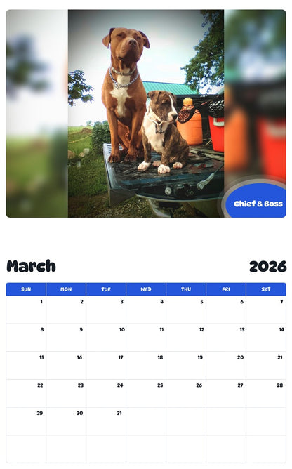November 2025 - October 2026 Chief & Boss - Pawidols Pet Calendar