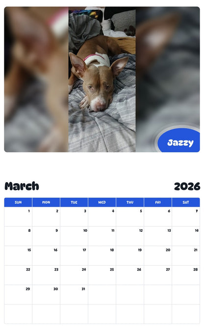November 2025 - October 2026 Jazzy - Pawidols Pet Calendar