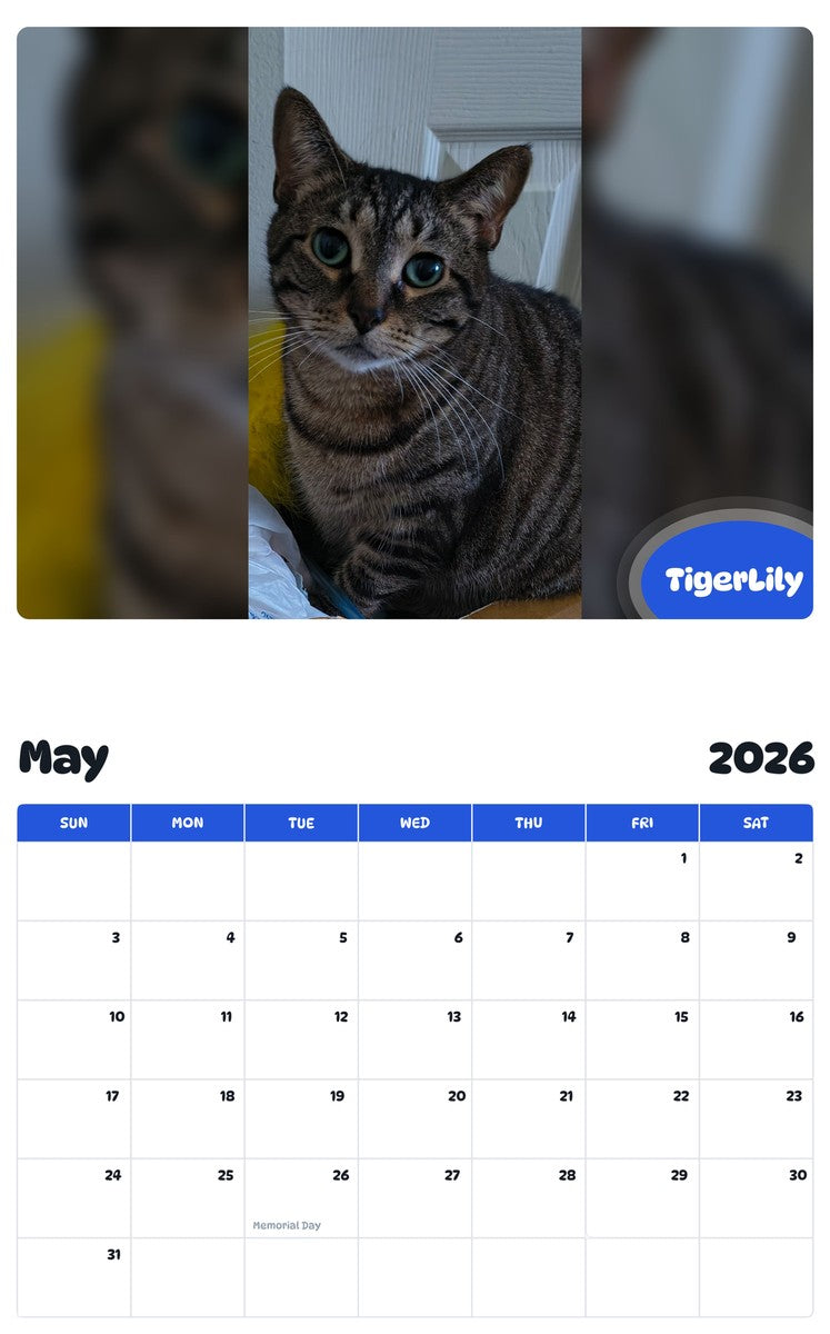 2026 - 2027 TigerLily - Pawidols Pet Calendar