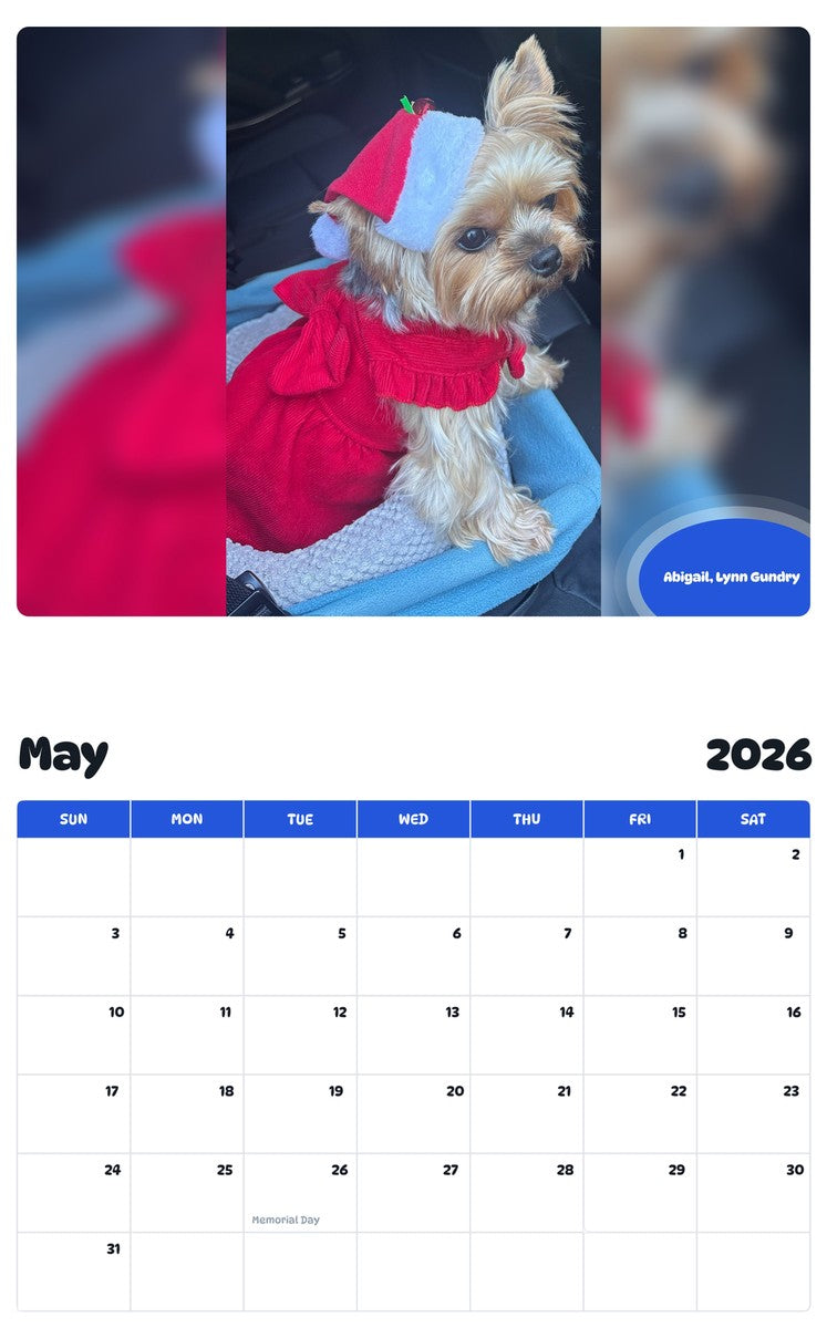 2026 - 2027 Abigail, Lynn Gundry - Pawidols Pet Calendar