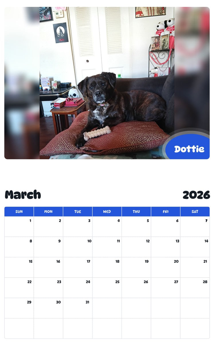November 2025 - October 2026 Dottie - Pawidols Pet Calendar