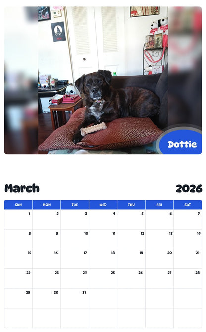 November 2025 - October 2026 Dottie - Pawidols Pet Calendar