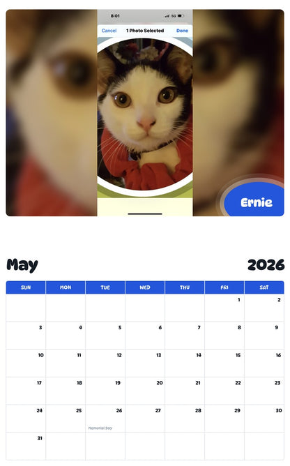 2026 - 2027 Ernie - Pawidols Pet Calendar