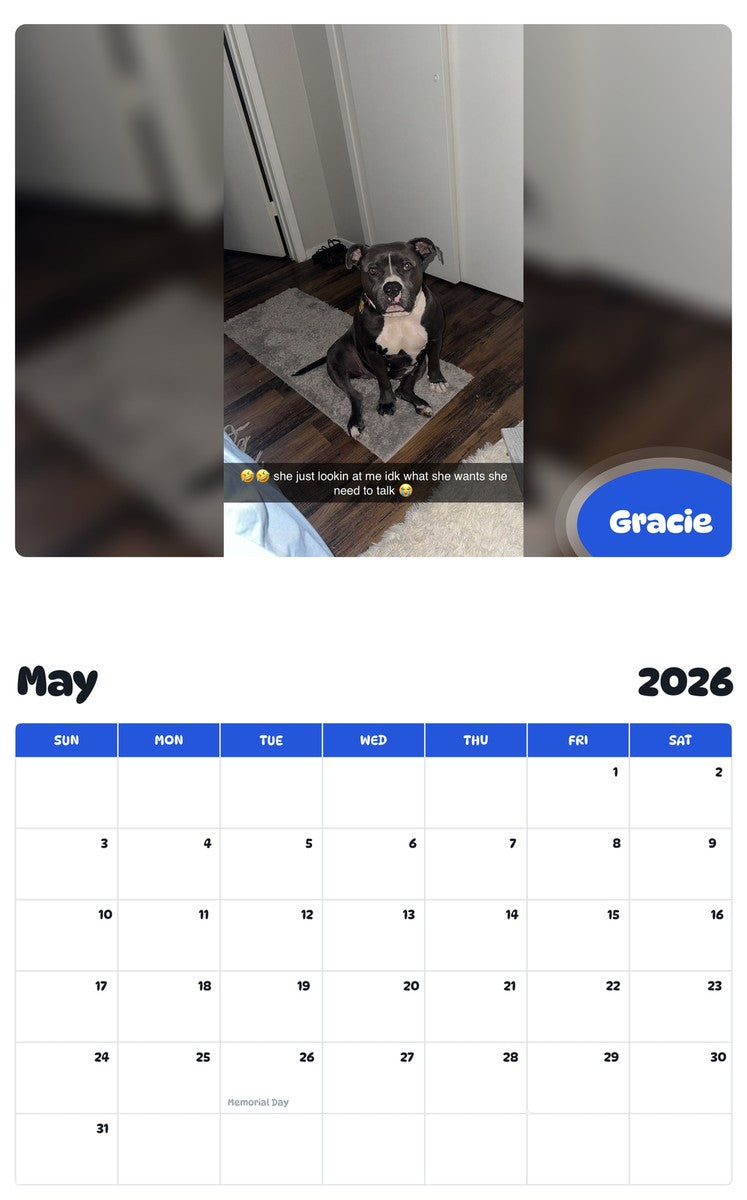 2026 - 2027 Gracie - Pawidols Pet Calendar