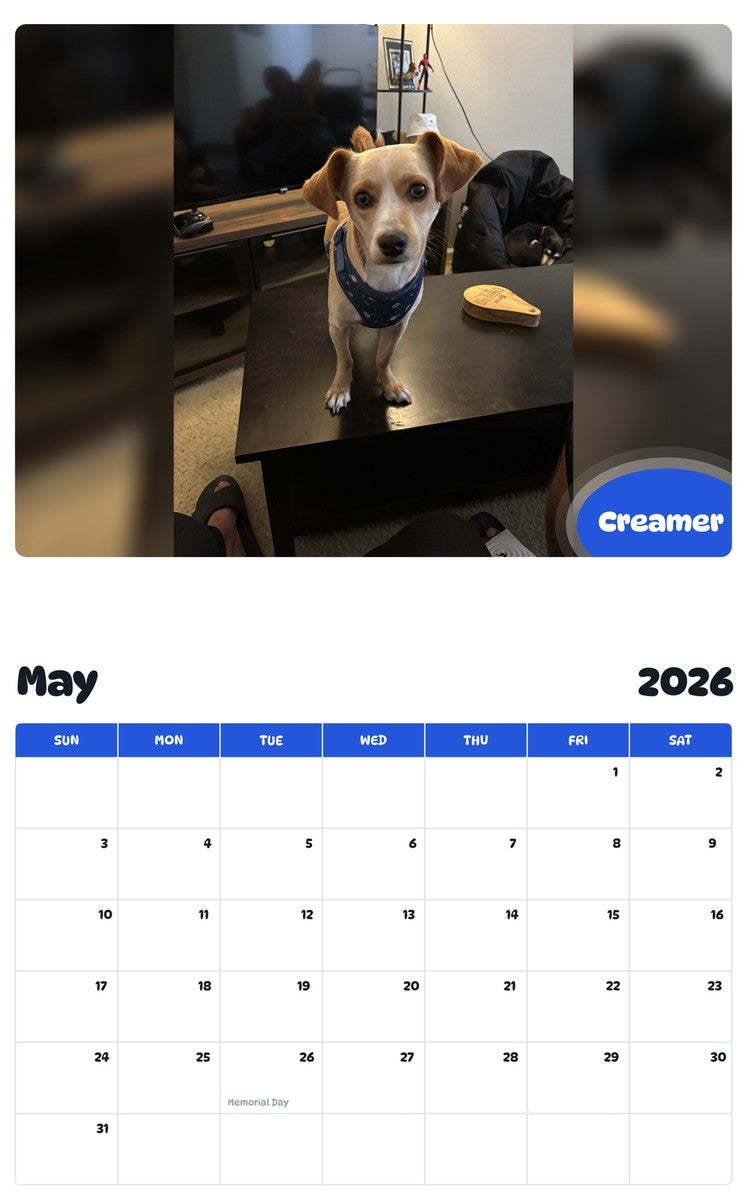 2026 - 2027 Creamer - Pawidols Pet Calendar