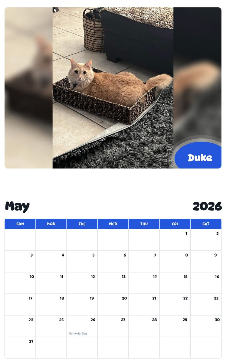 2026 - 2027 Duke - Pawidols Pet Calendar