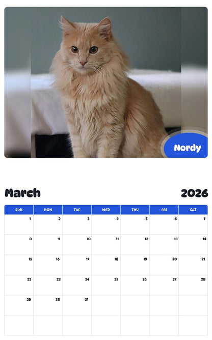 November 2025 - October 2026 Nordy - Pawidols Pet Calendar