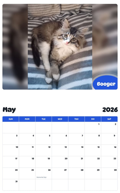 2026 - 2027 Booger - Pawidols Pet Calendar