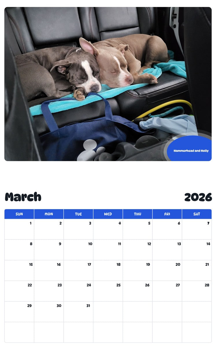 November 2025 - October 2026 Hammerhead and Holly - Pawidols Pet Calendar