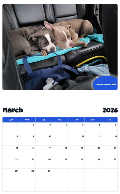 November 2025 - October 2026 Hammerhead and Holly - Pawidols Pet Calendar