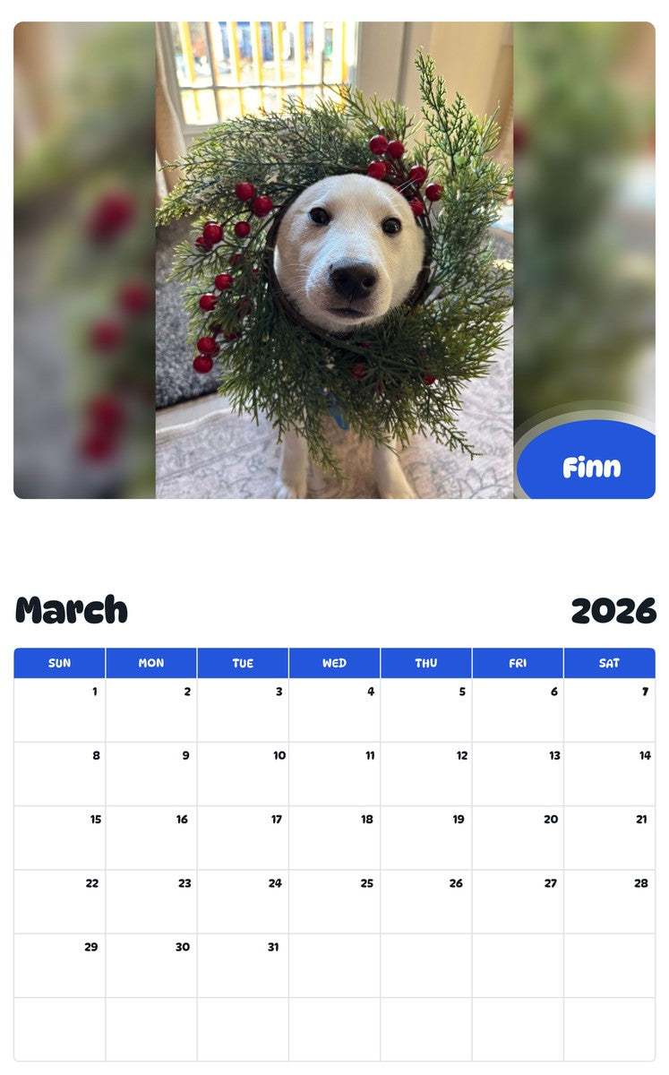 November 2025 - October 2026 Finn - Pawidols Pet Calendar