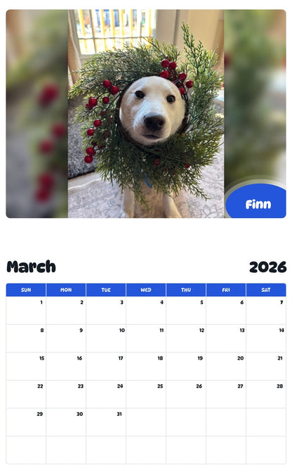 November 2025 - October 2026 Finn - Pawidols Pet Calendar
