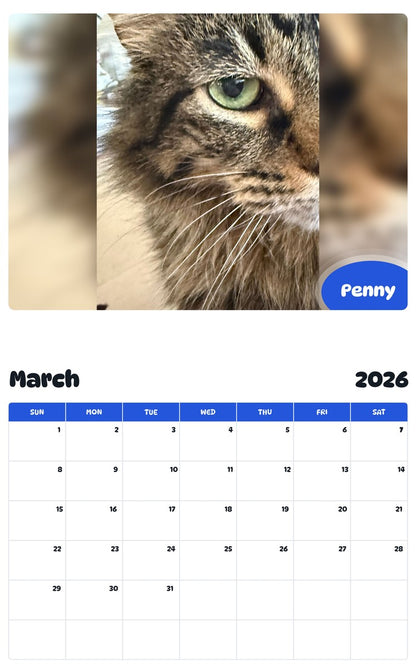 November 2025 - October 2026 Penny - Pawidols Pet Calendar
