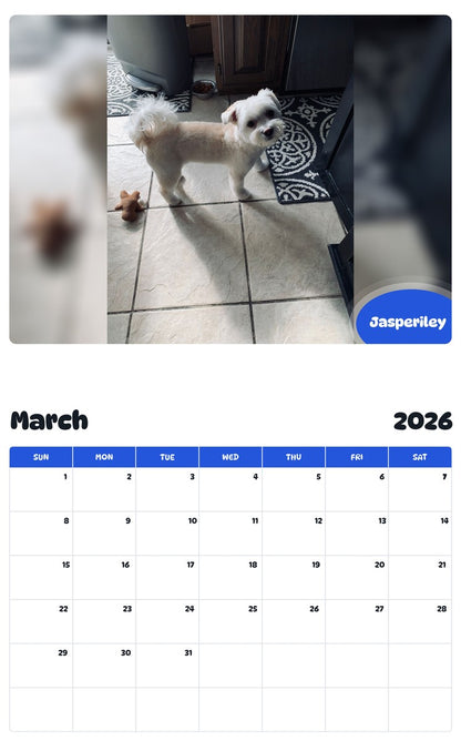 November 2025 - October 2026 Jasperiley - Pawidols Pet Calendar