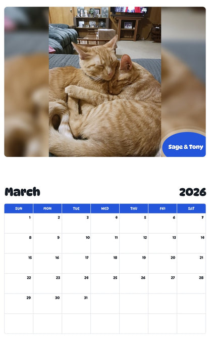 November 2025 - October 2026 Sage & Tony - Pawidols Pet Calendar