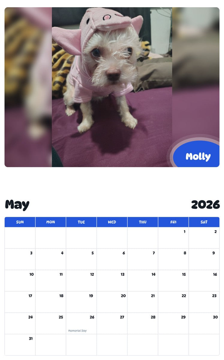 2026 - 2027 Molly - Pawidols Pet Calendar