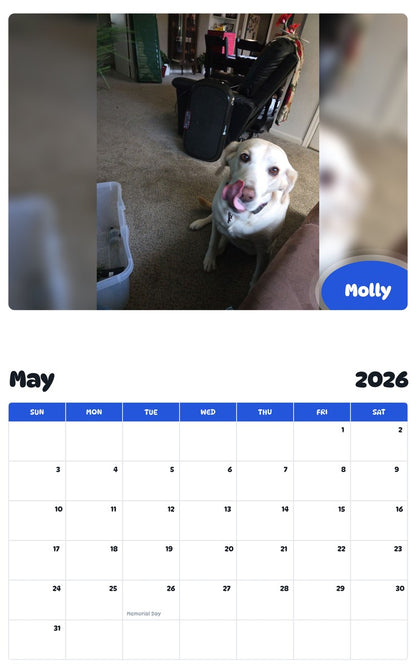 2026 - 2027 Molly - Pawidols Pet Calendar