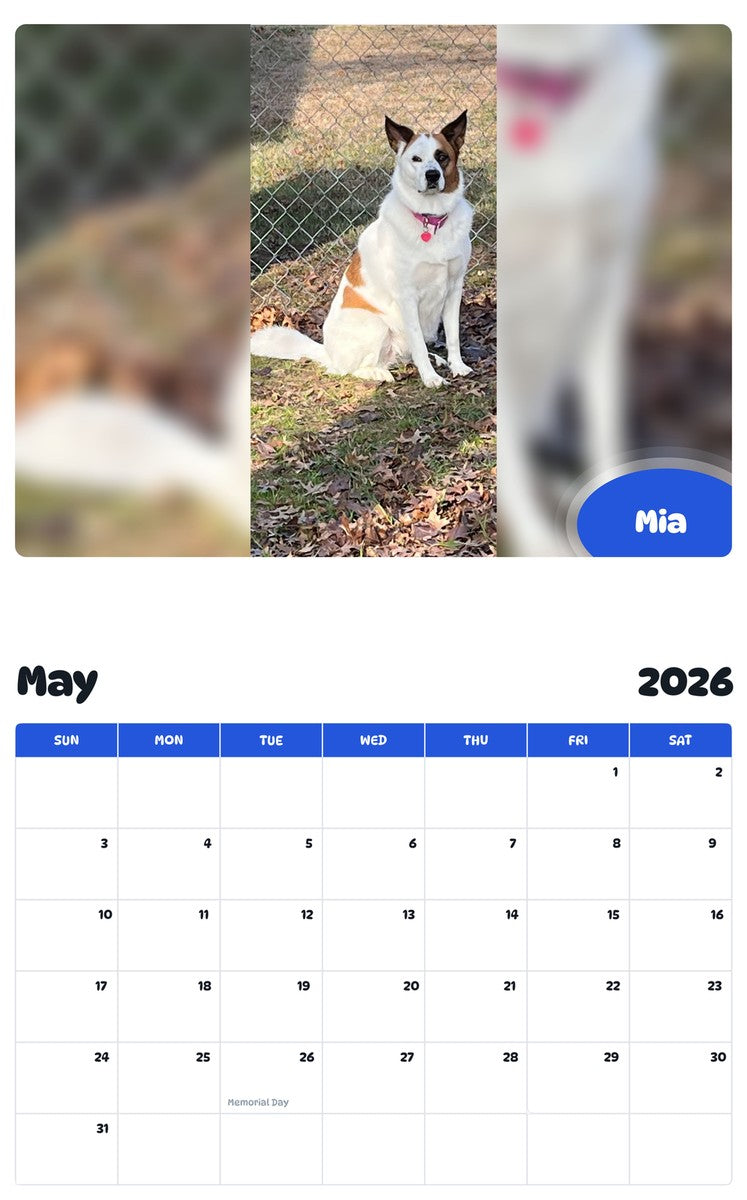 2026 - 2027 Mia - Pawidols Pet Calendar
