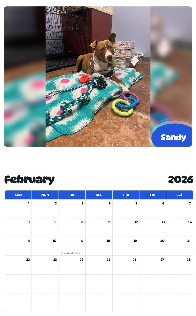November 2025 - October 2026 Sandy - Pawidols Pet Calendar