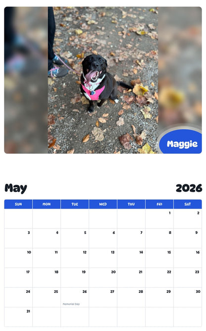2026 - 2027 Maggie - Pawidols Pet Calendar