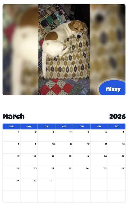 November 2025 - October 2026 Missy - Pawidols Pet Calendar