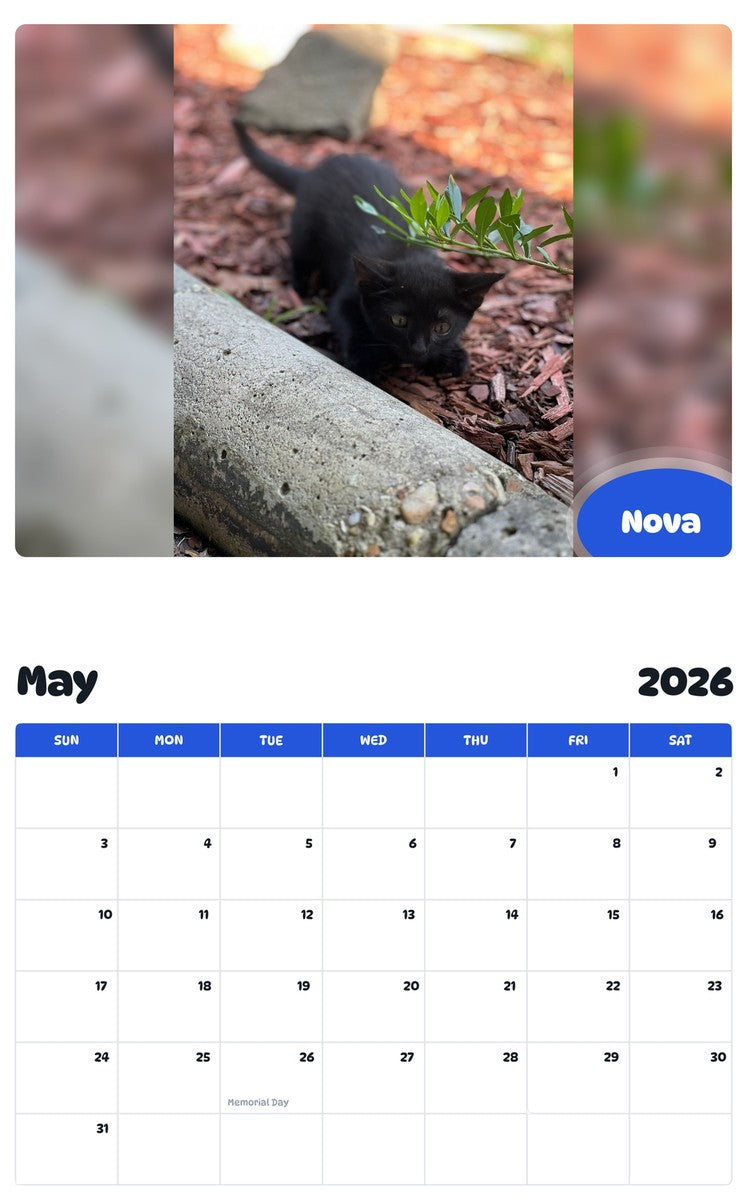 2026 - 2027 Nova - Pawidols Pet Calendar