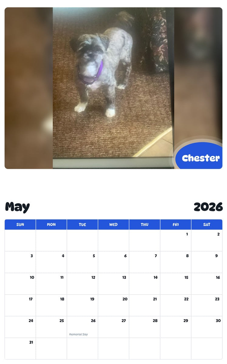 2026 - 2027 Chester - Pawidols Pet Calendar