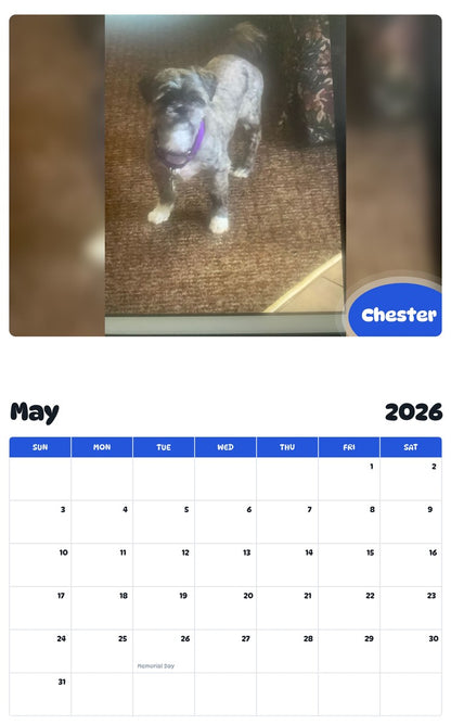 2026 - 2027 Chester - Pawidols Pet Calendar
