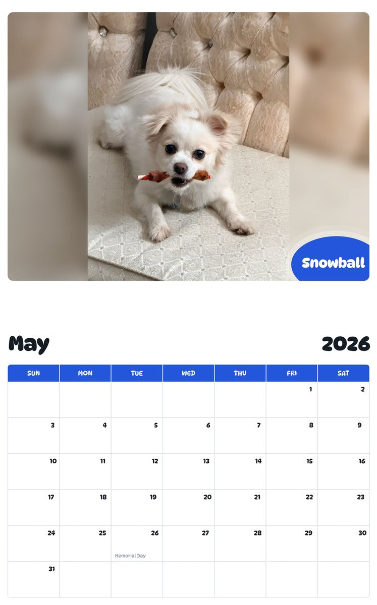 2026 - 2027 Snowball - Pawidols Pet Calendar