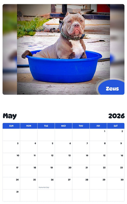 2026 - 2027 Zeus - Pawidols Pet Calendar