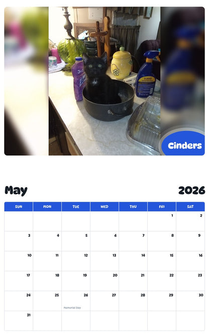 2026 - 2027 Cinders - Pawidols Pet Calendar