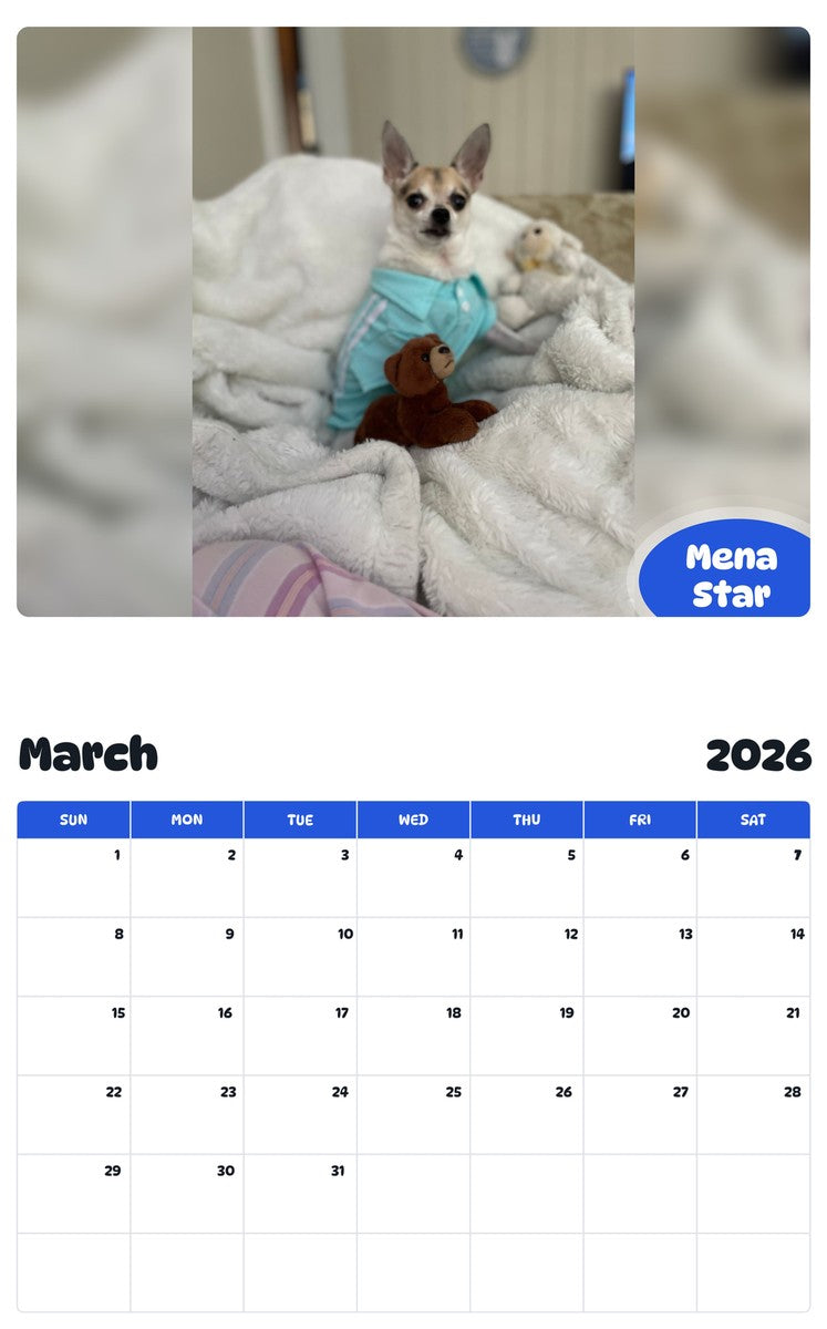 November 2025 - October 2026 Mena Star - Pawidols Pet Calendar