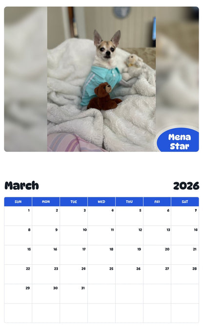 November 2025 - October 2026 Mena Star - Pawidols Pet Calendar