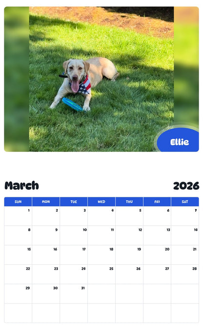 November 2025 - October 2026 Ellie - Pawidols Pet Calendar