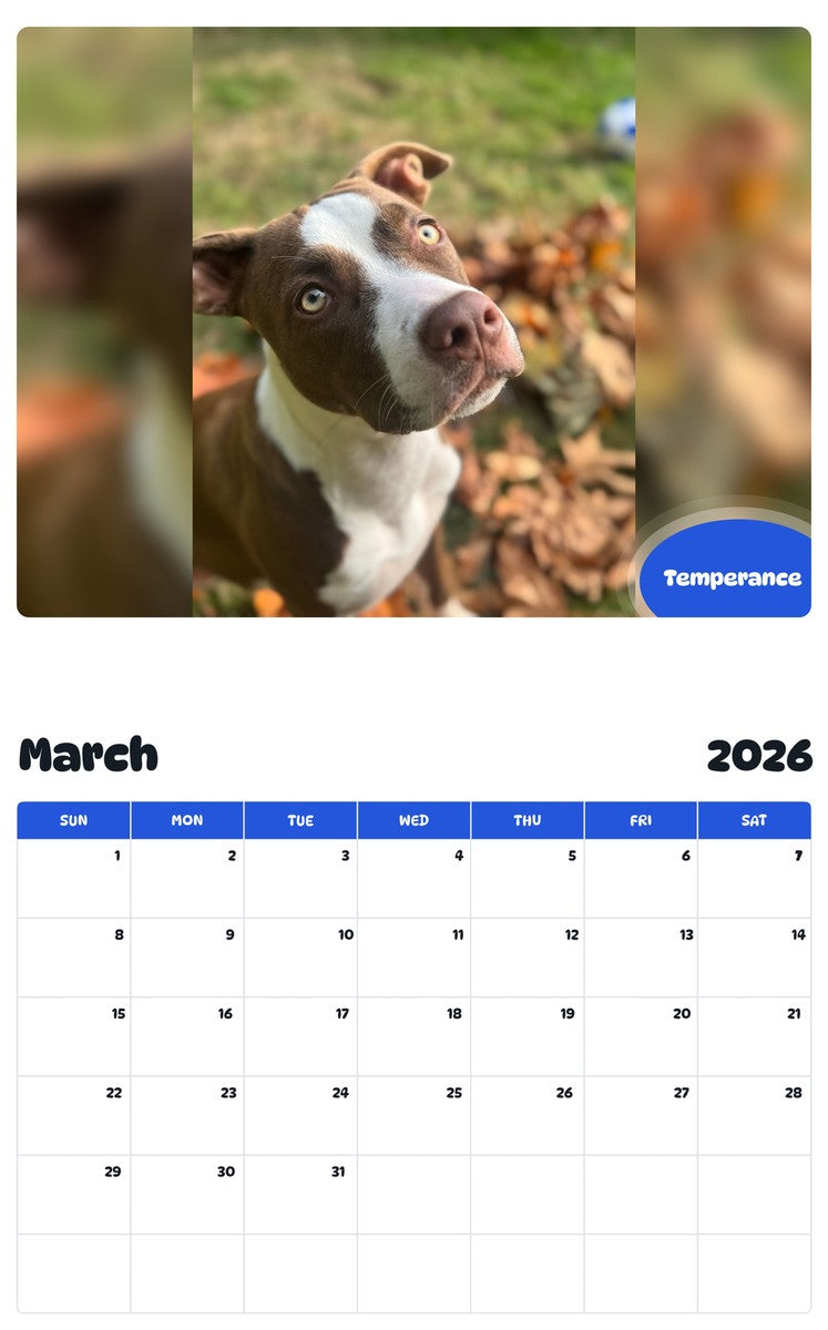 November 2025 - October 2026 Temperance - Pawidols Pet Calendar