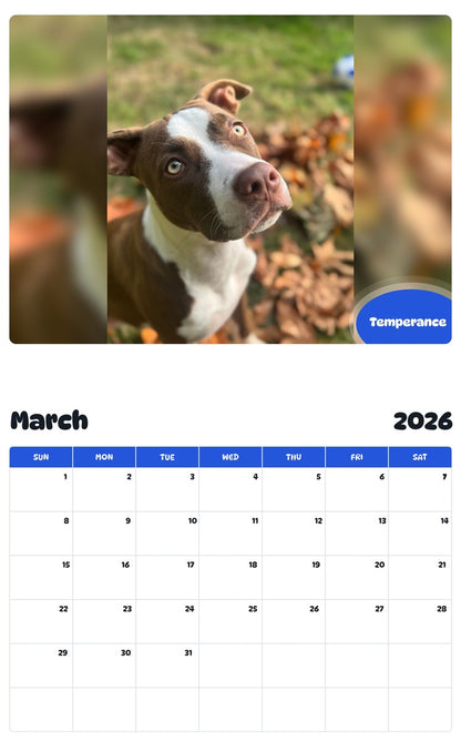 November 2025 - October 2026 Temperance - Pawidols Pet Calendar