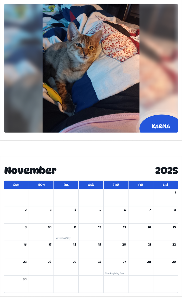 July 2025 - June 2026 Karma - Pawidols Pet Calendar