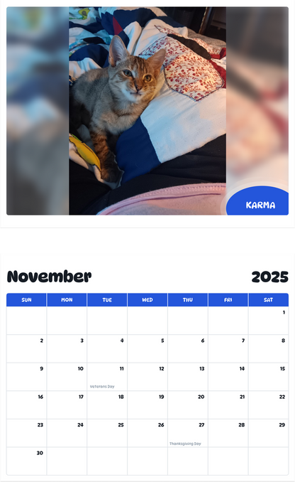 July 2025 - June 2026 Karma - Pawidols Pet Calendar