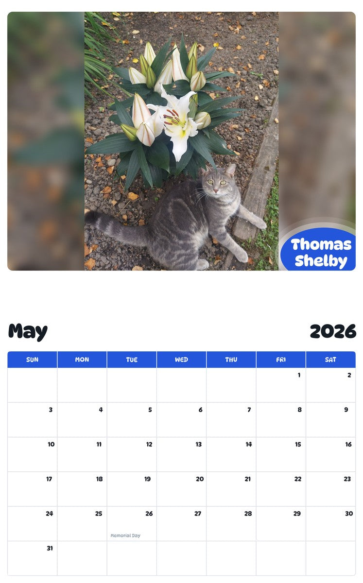 2026 - 2027 Thomas Shelby - Pawidols Pet Calendar