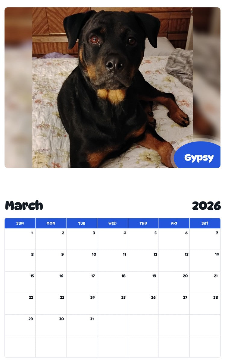 November 2025 - October 2026 Gypsy - Pawidols Pet Calendar