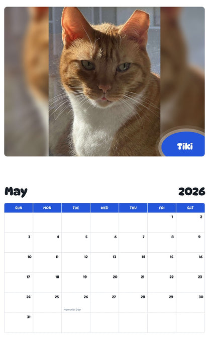 2026 - 2027 Tiki - Pawidols Pet Calendar