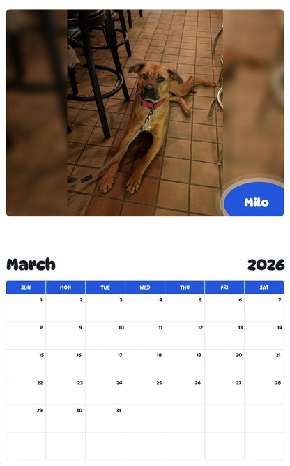 November 2025 - October 2026 Milo - Pawidols Pet Calendar
