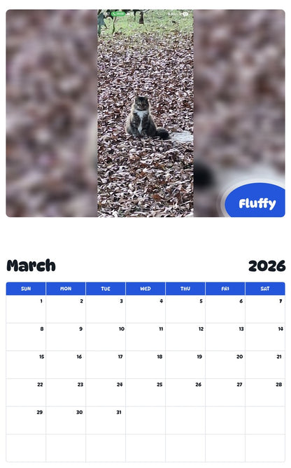 November 2025 - October 2026 Fluffy - Pawidols Pet Calendar