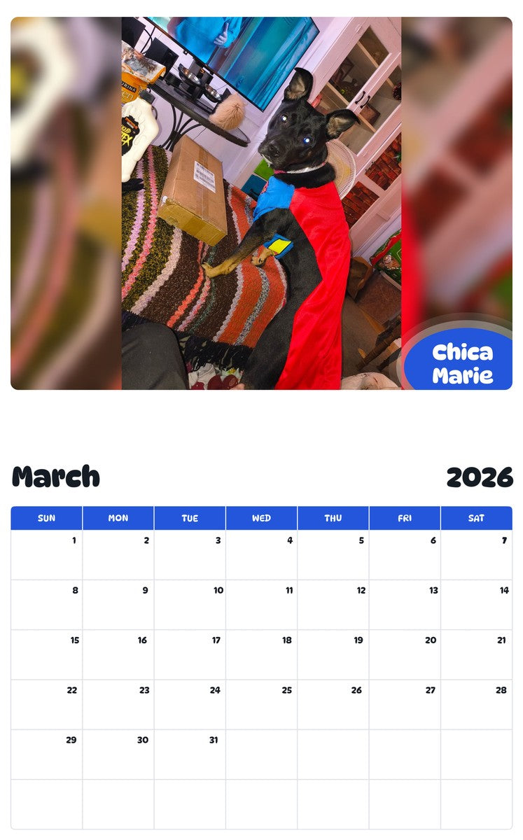 November 2025 - October 2026 Chica Marie - Pawidols Pet Calendar