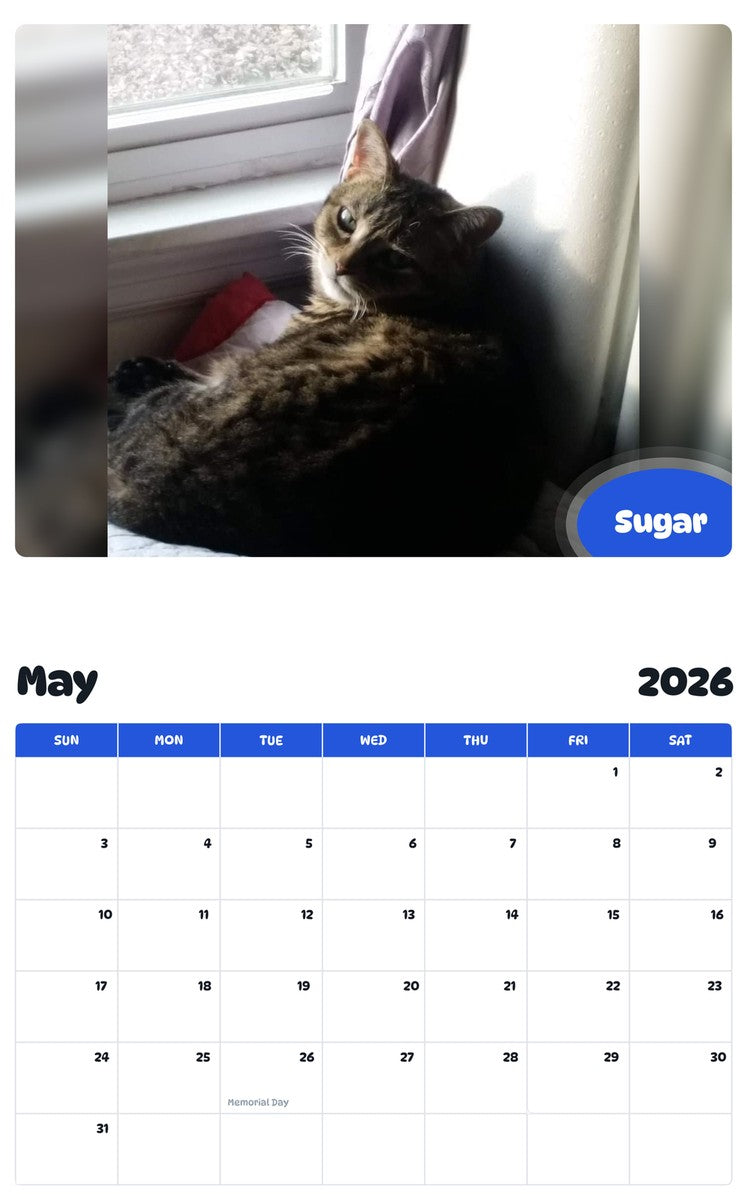2026 - 2027 Sugar - Pawidols Pet Calendar