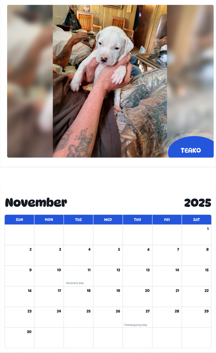 July 2025 - June 2026 Teako - Pawidols Pet Calendar